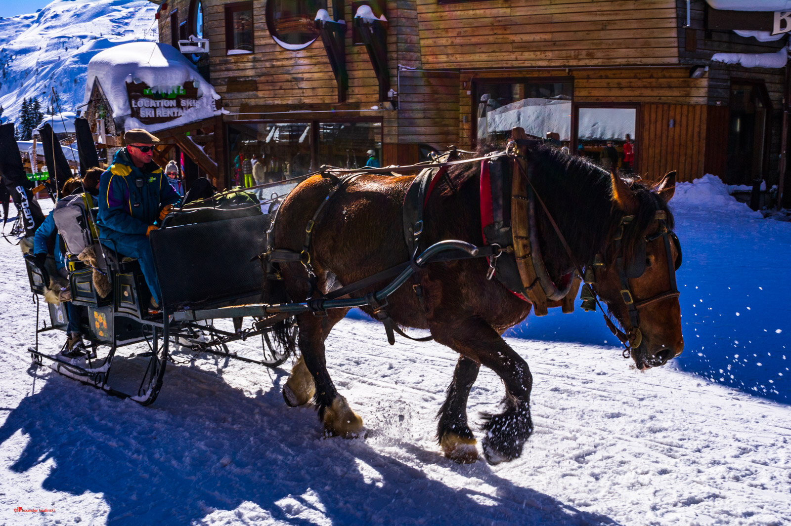 Horses (and ratracks): the only transport permitted in Avoriaz