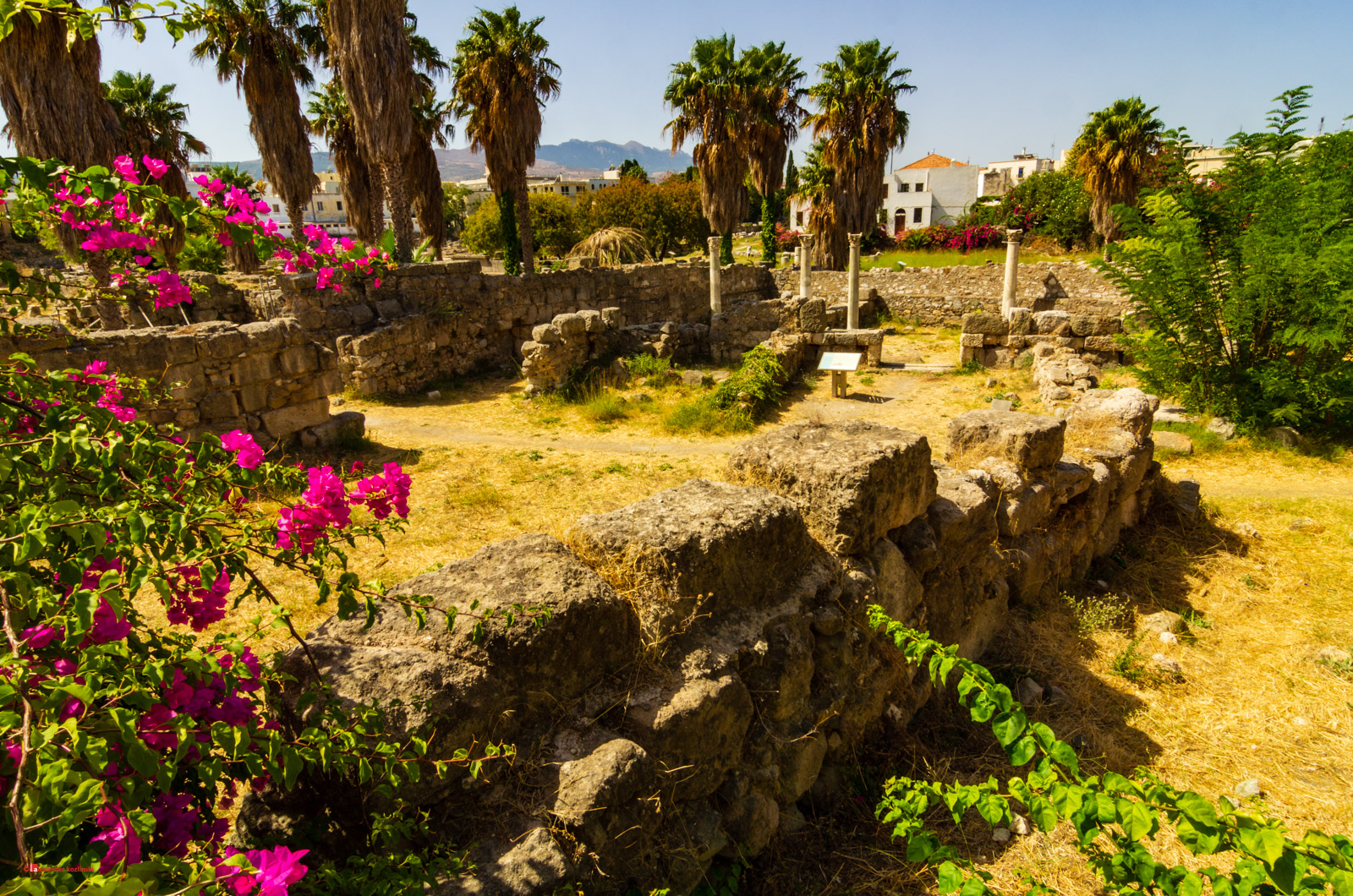 The Ancient Agora of Kos