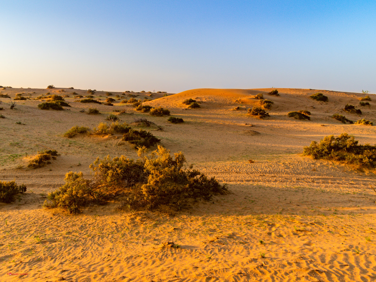 Desert, United Arab Emirates