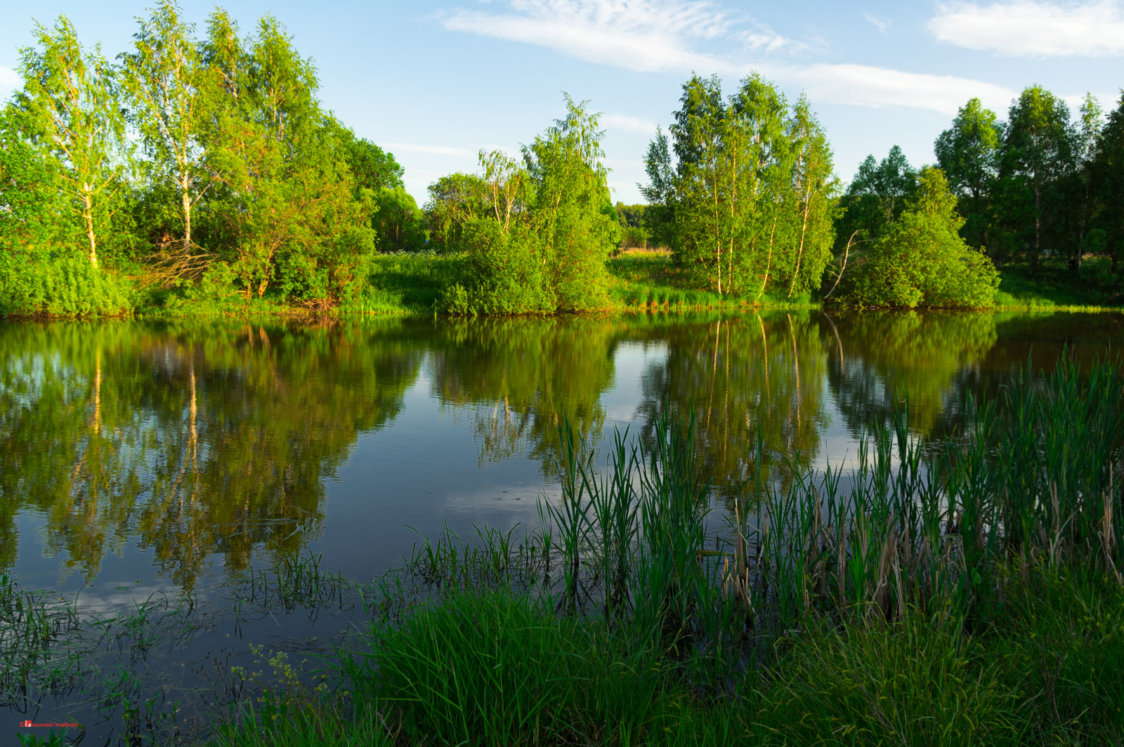 Пруд в Подмосковье / Pond in Moscow region