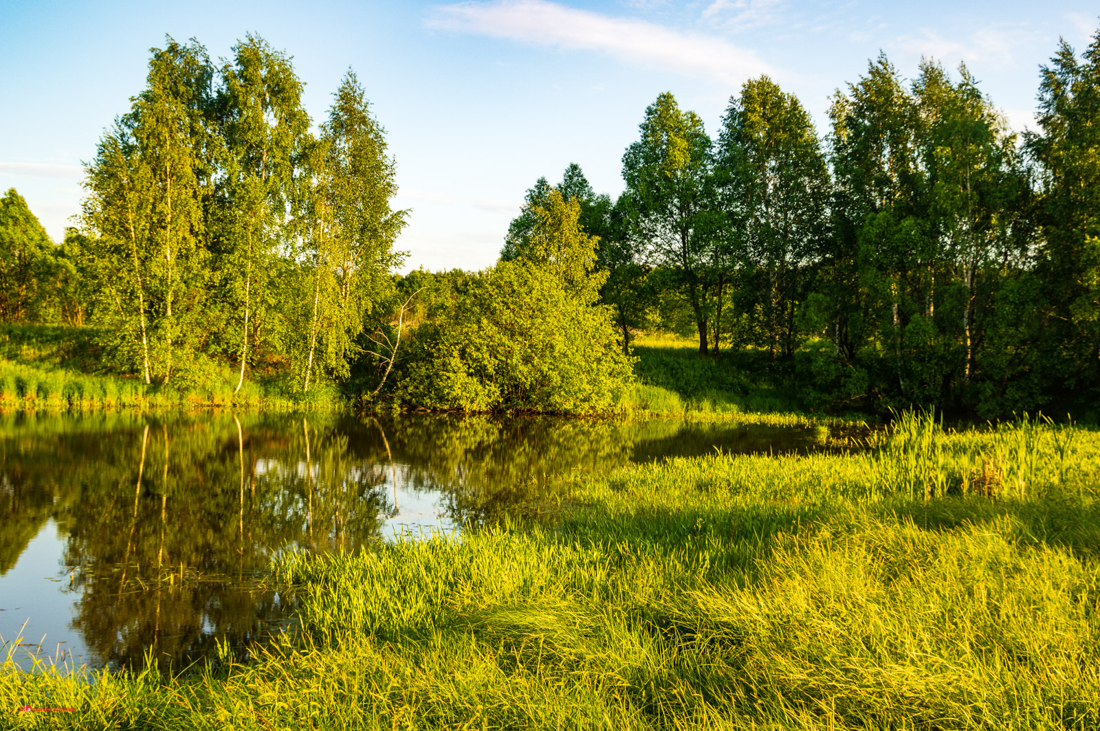 Пруд в Подмосковье / Pond in Moscow region