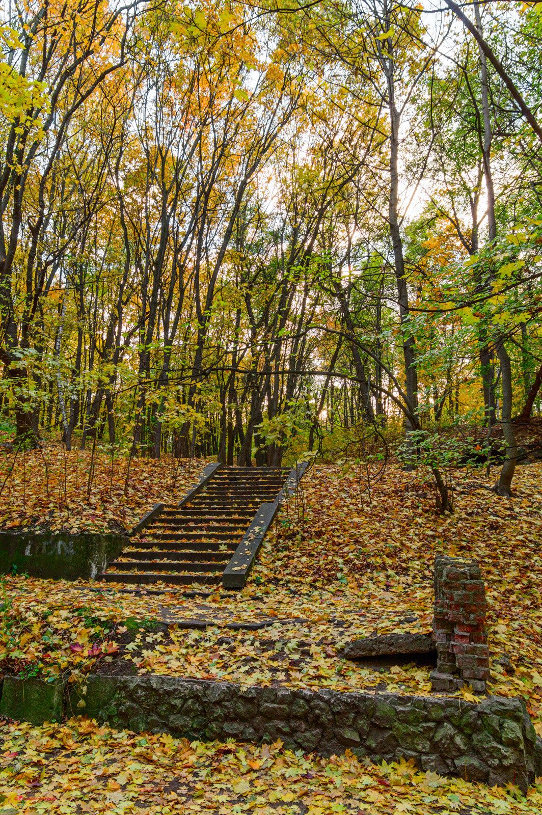 Лестница, запорошенная листьями