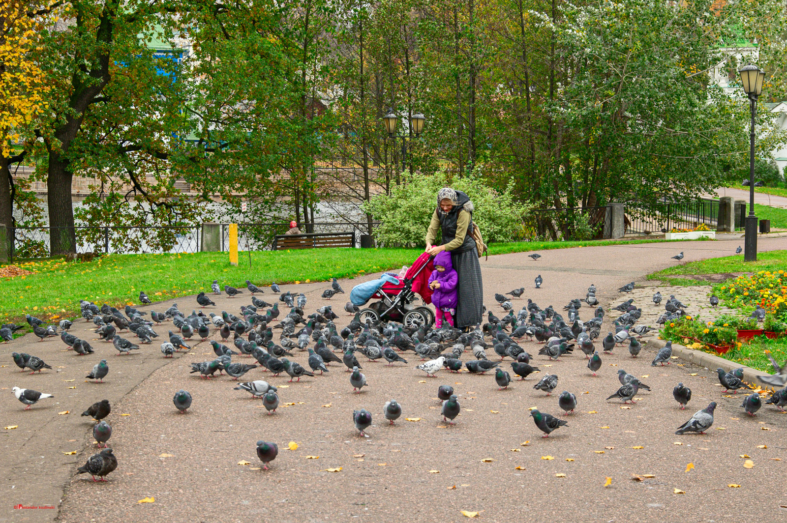 Девочка с матерью кормят голубей