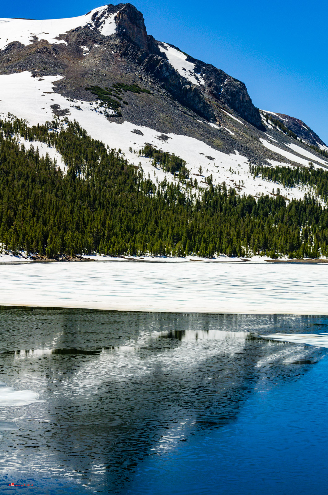 Ice-bound Ellery Lake