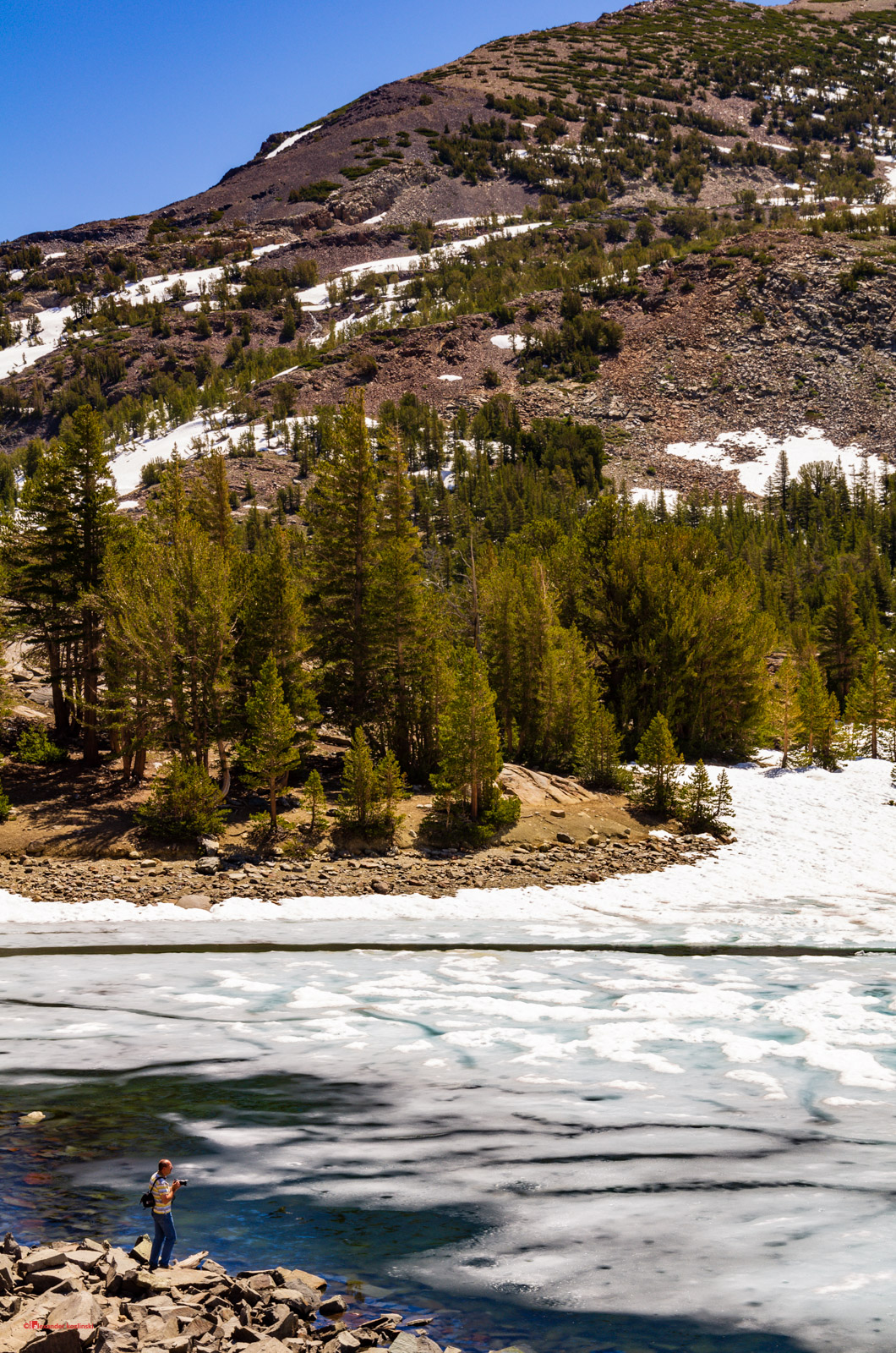 Ice-bound Ellery Lake
